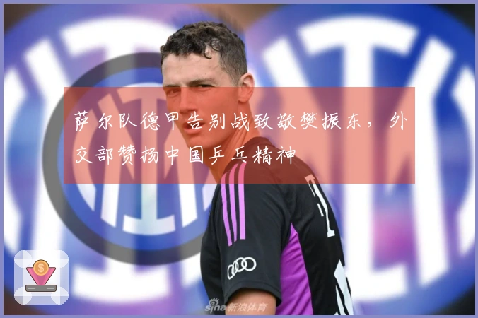 萨尔队德甲告别战致敬樊振东，外交部赞扬中国乒乓精神