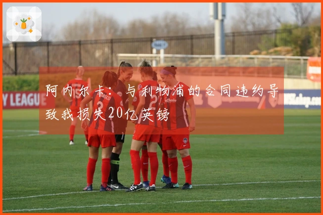 阿内尔卡：与利物浦的合同违约导致我损失20亿英镑
