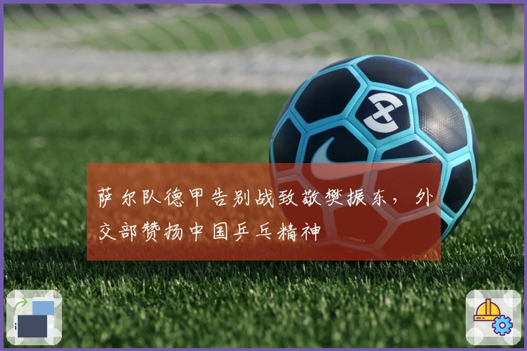 萨尔队德甲告别战致敬樊振东，外交部赞扬中国乒乓精神