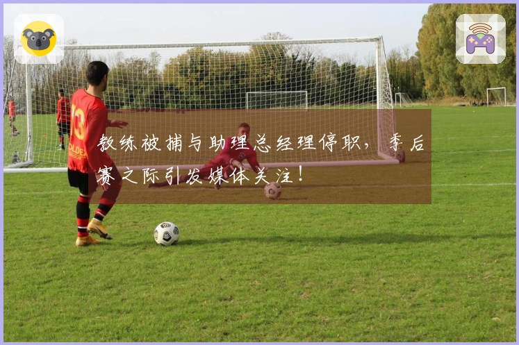 教练被捕与助理总经理停职，季后赛之际引发媒体关注！