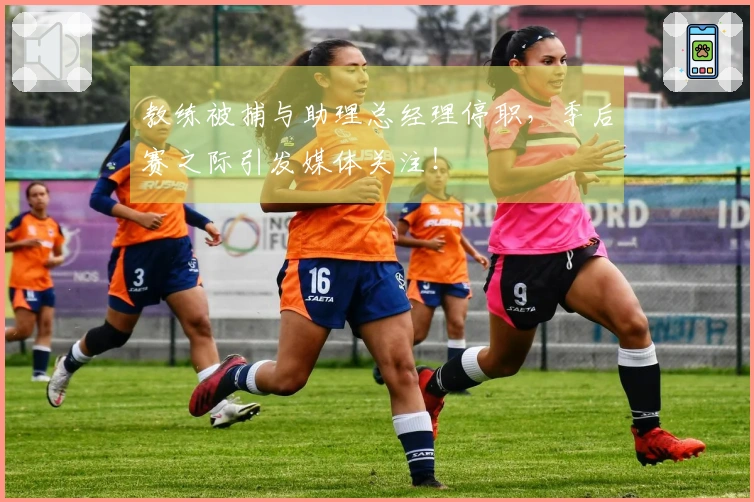 教练被捕与助理总经理停职，季后赛之际引发媒体关注！