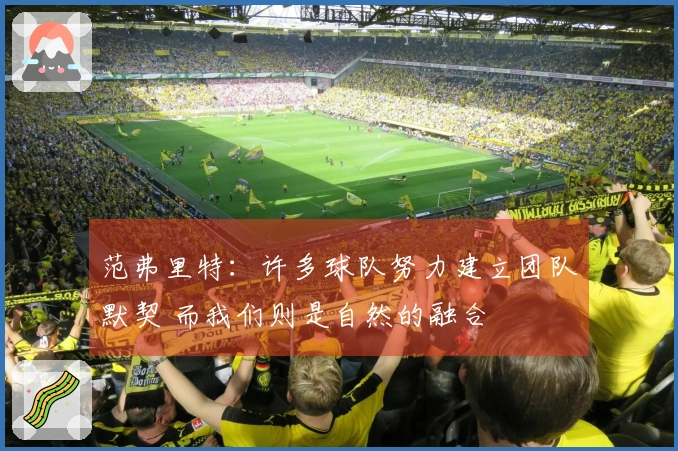 范弗里特：许多球队努力建立团队默契 而我们则是自然的融合