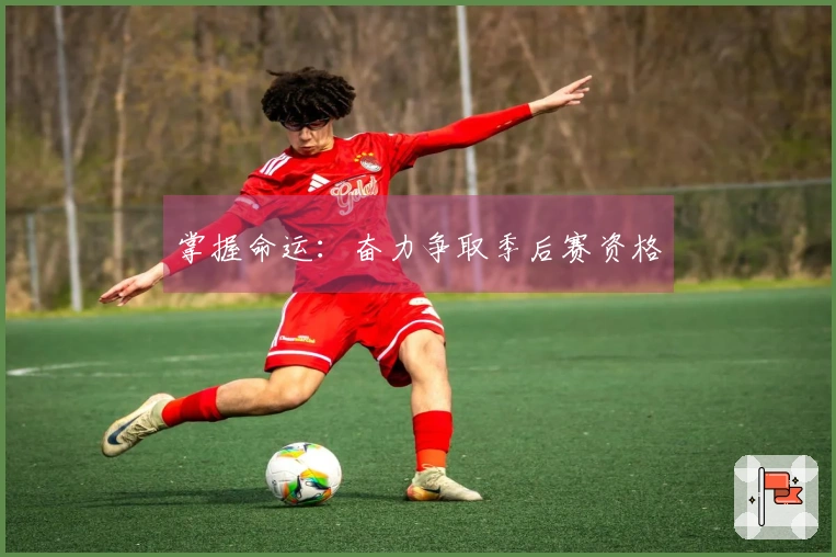 掌握命运：奋力争取季后赛资格